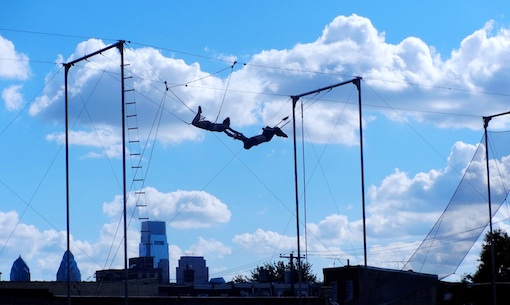 trapeze backyard