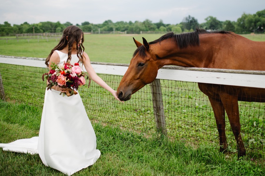 Horseback Wedding Dresses